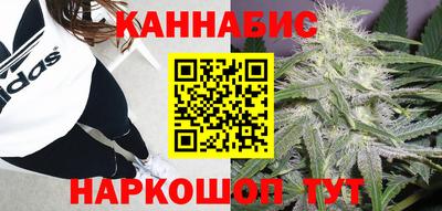 PSILOCYBIN Гусиноозёрск