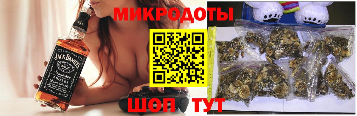 Галлюциногенные грибы Psilocybine cubensis  Галлюциногенные грибы мицелий  Елец  Вход с VPN 