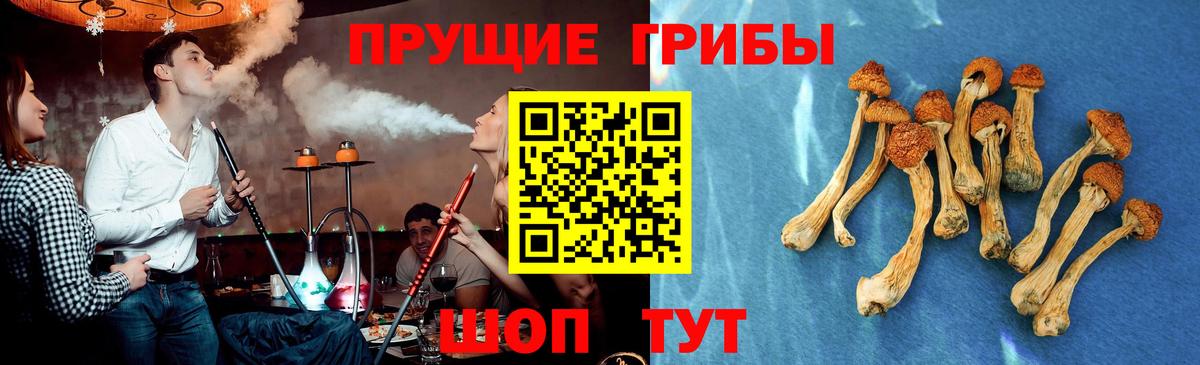 Галлюциногенные грибы Magic Shrooms  Елец 