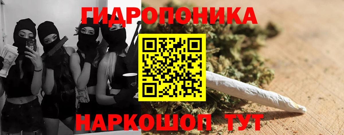 Бошки марихуана марихуана  Конопля гибрид  Елец  Бошки марихуана OG Kush  Вход с VPN 